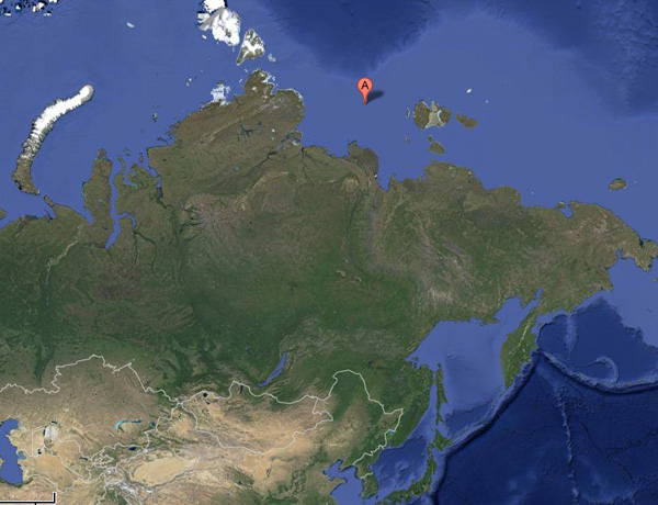 Russland hat jetzt eine neue Insel Laptewsee